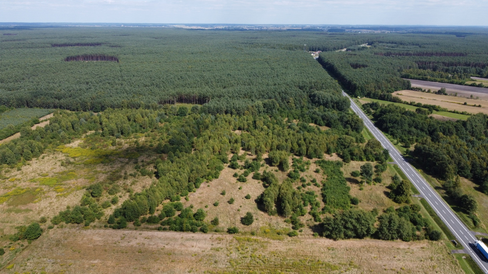 Działka Sprzedaż Grodziec