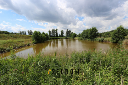 Działka Sprzedaż Ostrowo