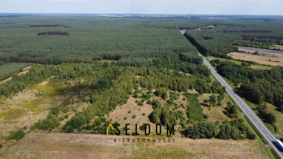 Działka Sprzedaż Grodziec