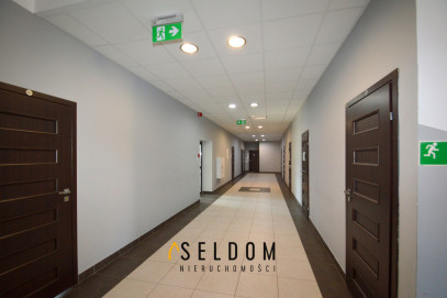 Lokal Wynajem Opole Centrum