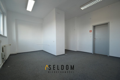 Lokal Wynajem Opole Śródmieście Światowida
