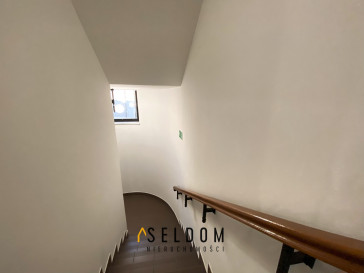 Lokal Wynajem Opole Centrum