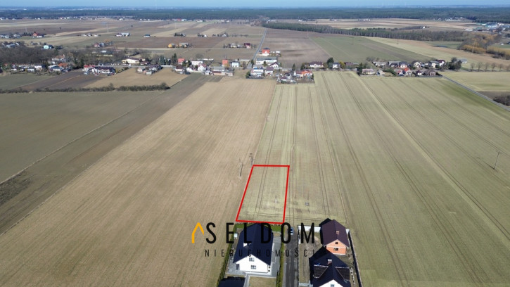Działka Sprzedaż Piotrkowice 4