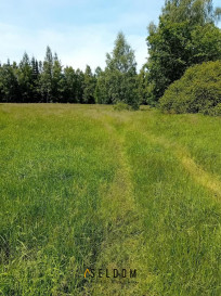 Działka Sprzedaż Antoniów