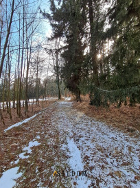 Działka Sprzedaż Antoniów