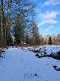Działka Sprzedaż Antoniów