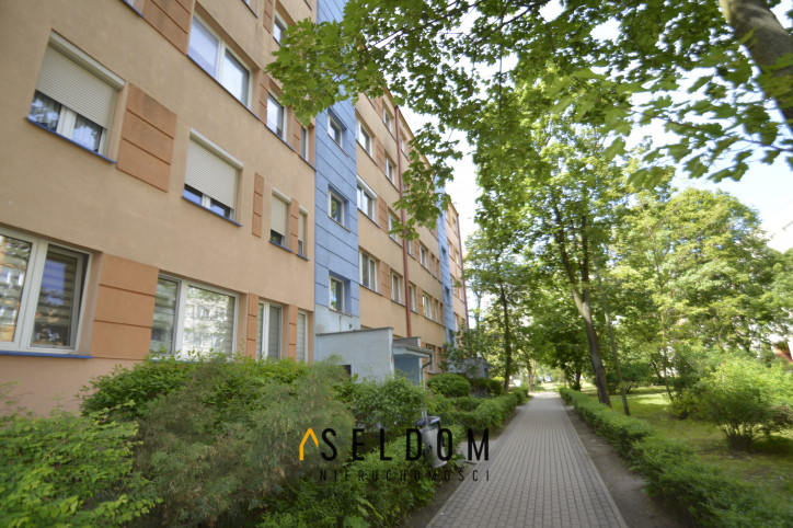 Mieszkanie Wynajem Legnica Kopernika Orbitalna 8