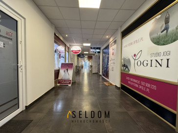 Lokal Wynajem Opole Centrum