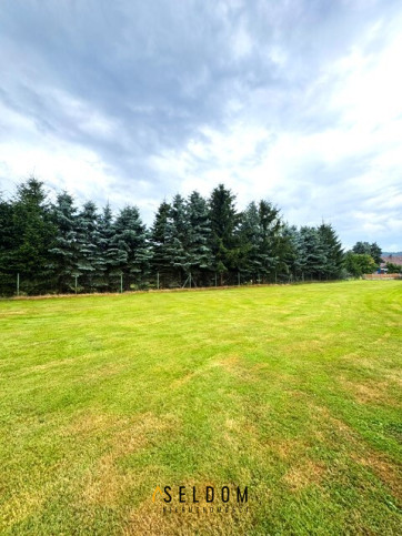 Działka Sprzedaż Ściegny 2